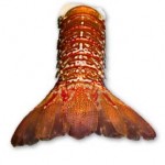 Separated lobster tail.